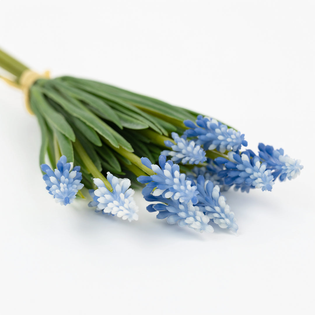 10.5" Grape Hyacinth Bundle