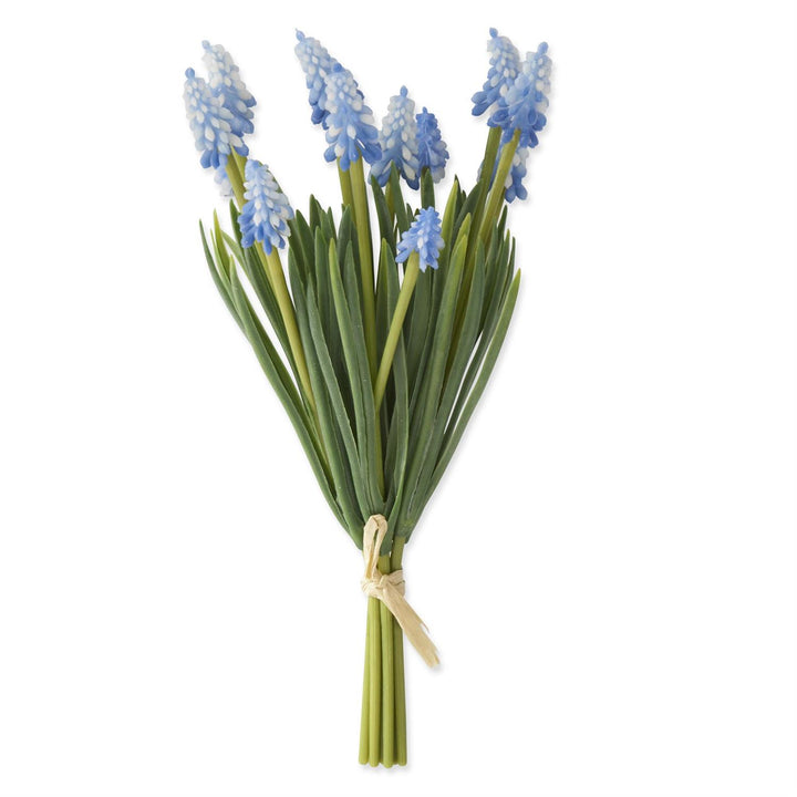 10.5" Grape Hyacinth Bundle