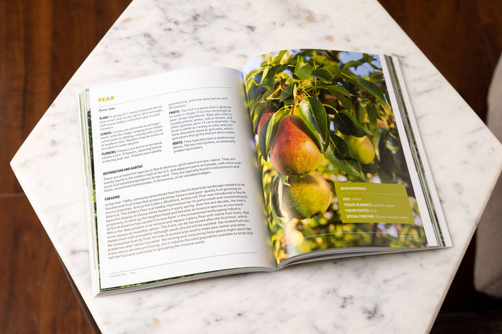 Foraging: An Illustrated Guide