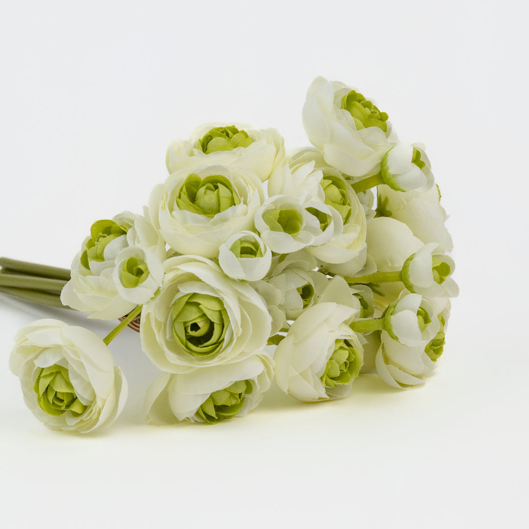 11" Cream Ranunculus Bundle