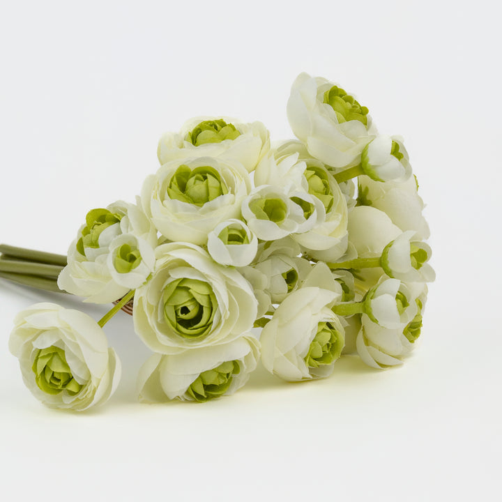 11" Cream Ranunculus Bundle