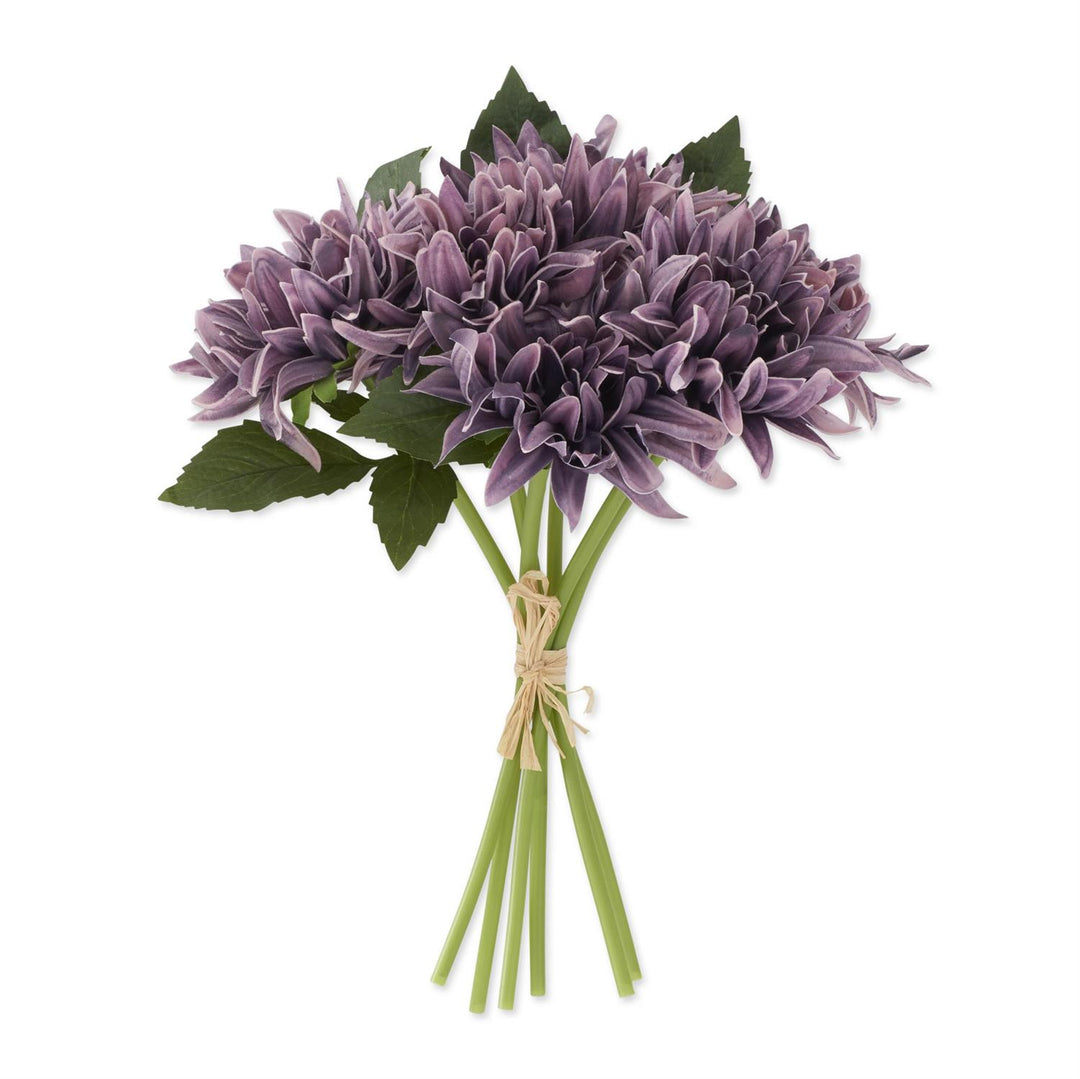 12" Purple Dahlia Bundle