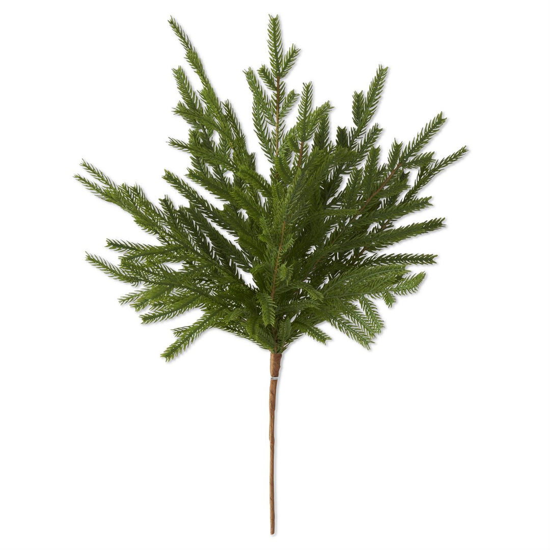 19" Norfolk Pine Stem