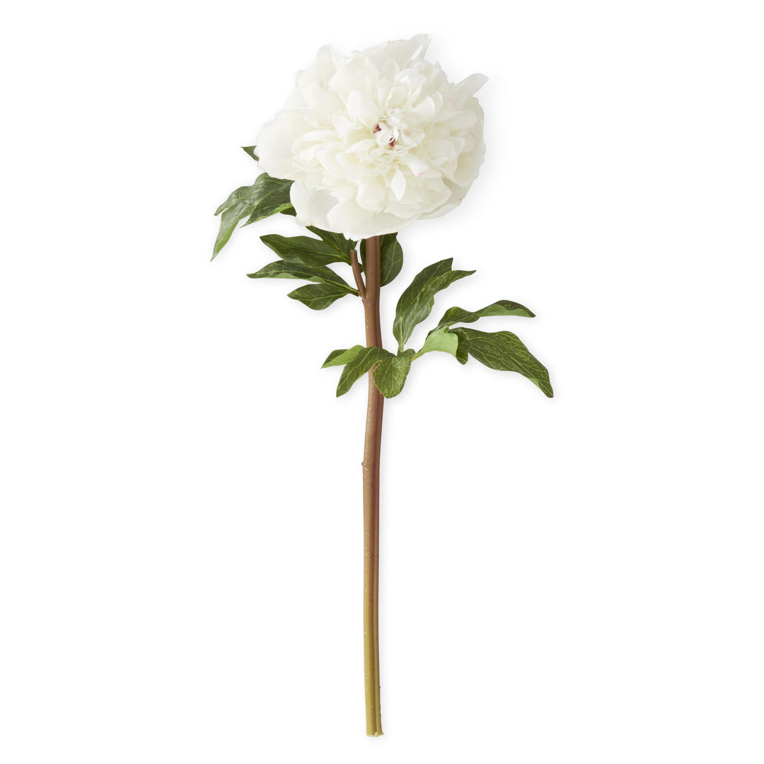 21.5" Real Touch White Peony Stem