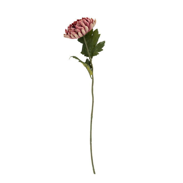 24.5" Mauve Stem
