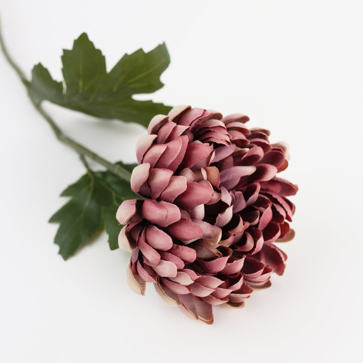 24.5" Mauve Stem