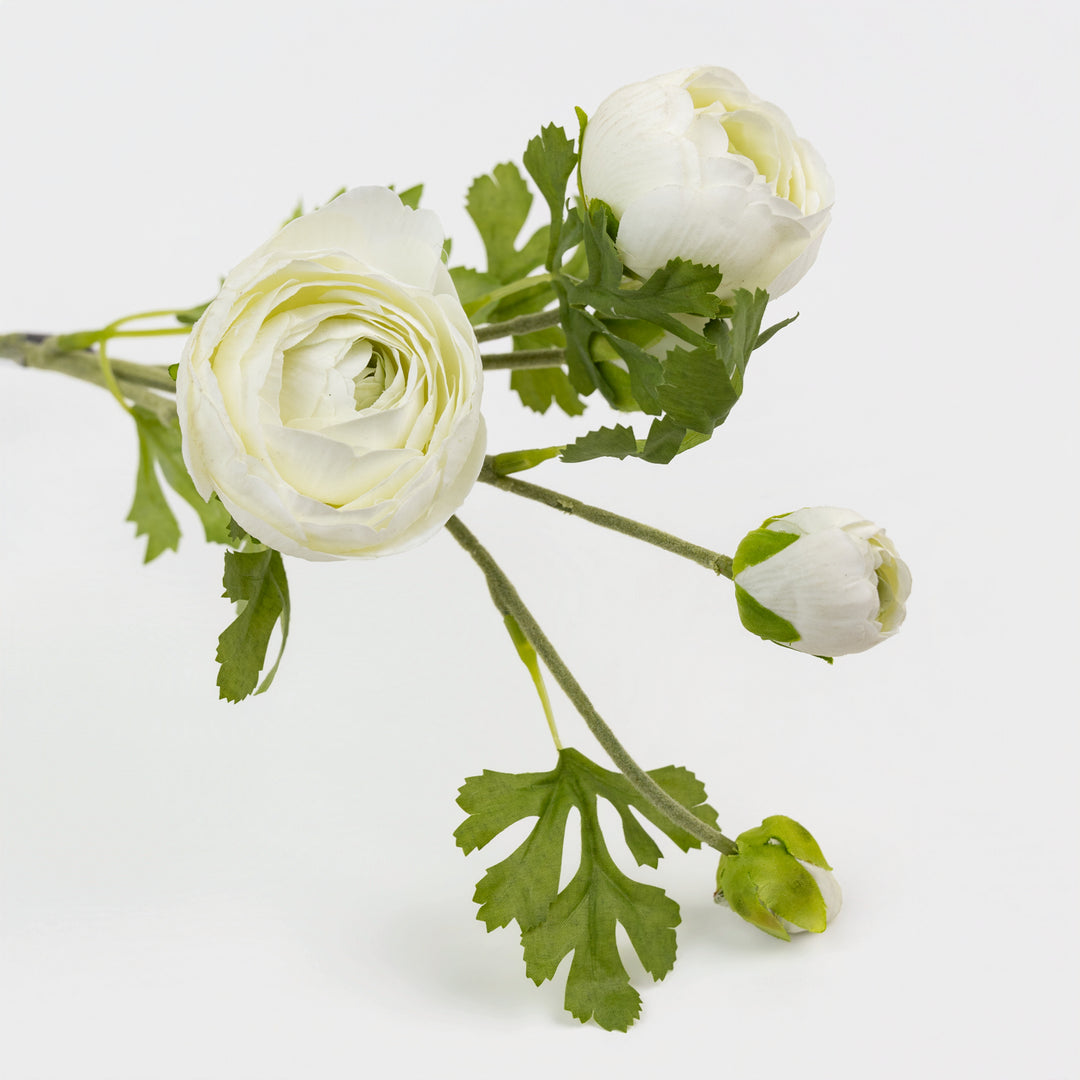 24.5" Real Touch White Ranunculus Stem