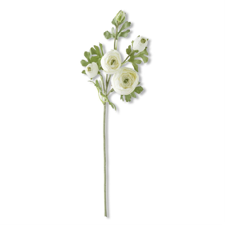 24.5" Real Touch White Ranunculus Stem