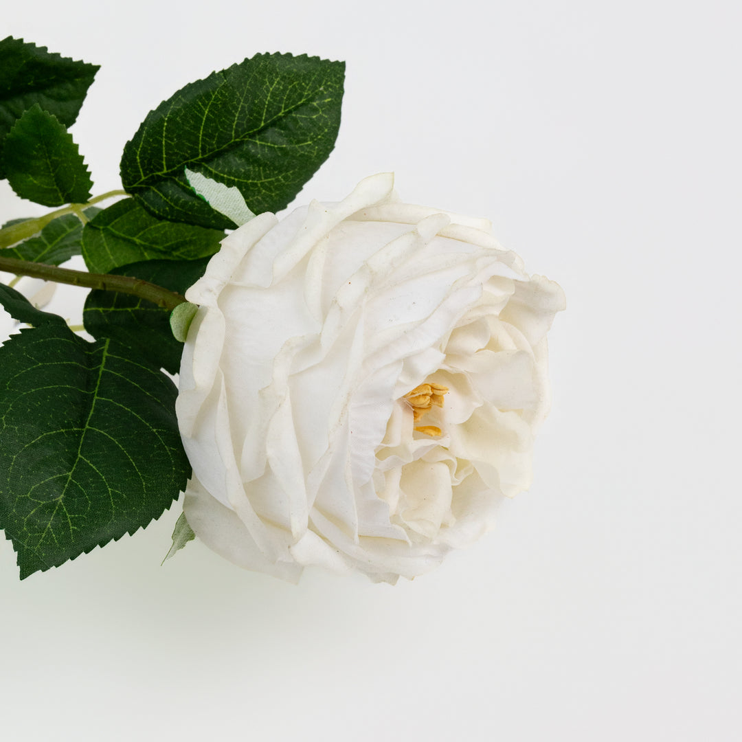24" Real Touch White Austin Rose