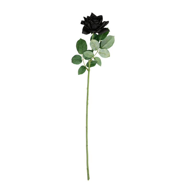 25" Black Rose