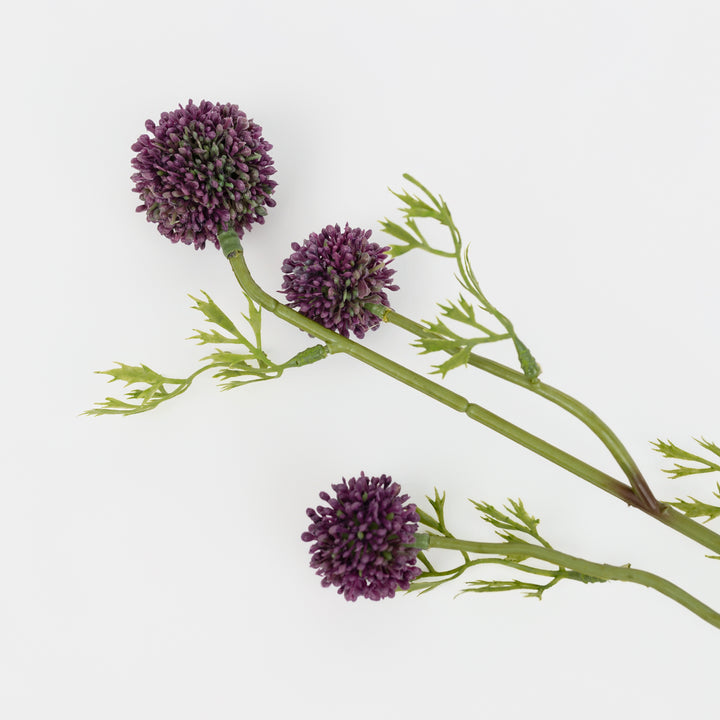 25" Dark Purple Allium Stem