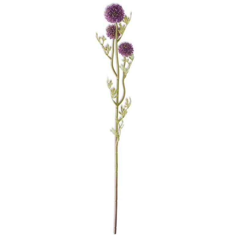 25" Dark Purple Allium Stem