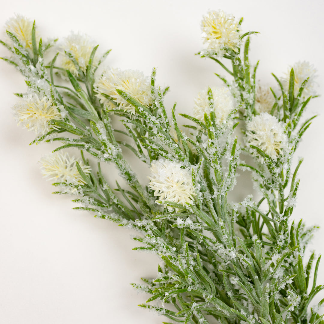 27" Snowy White Thistle Stem