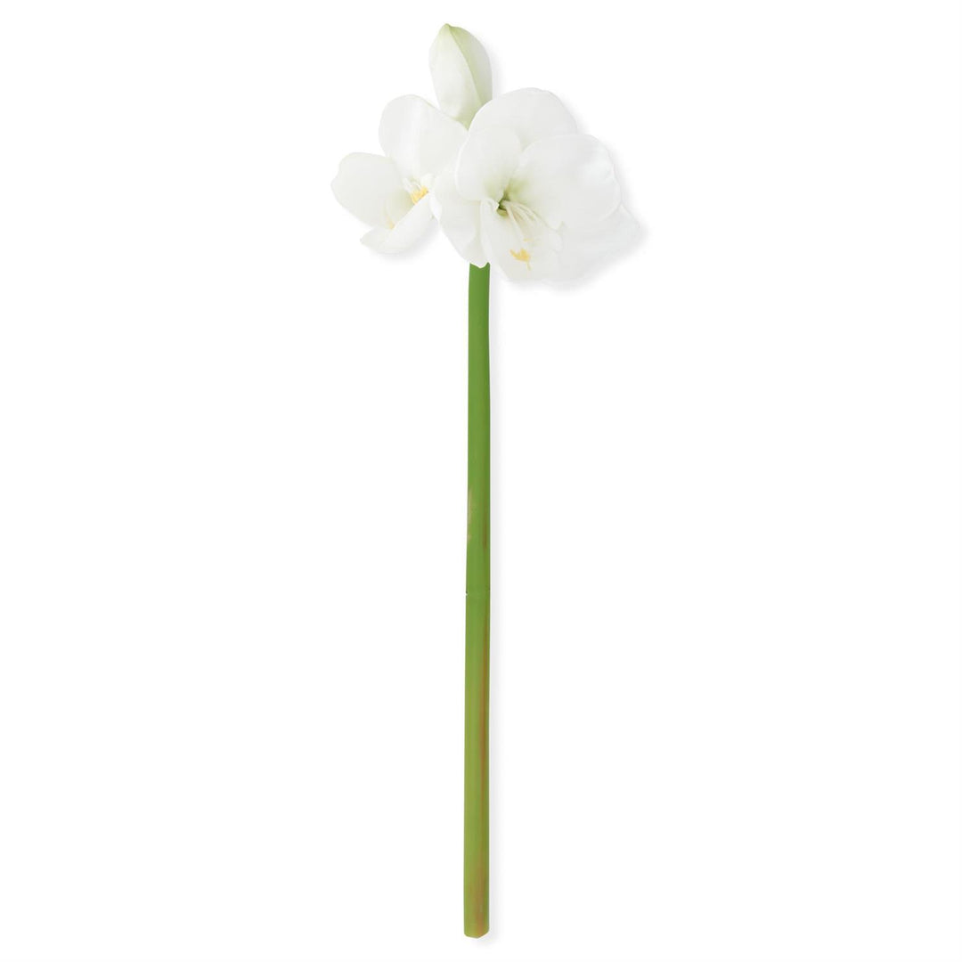 28" Amaryllis Stem
