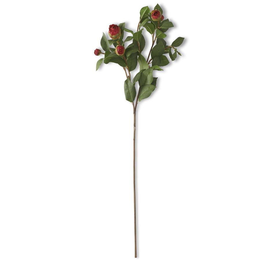 28" Red Bud Peony Stem