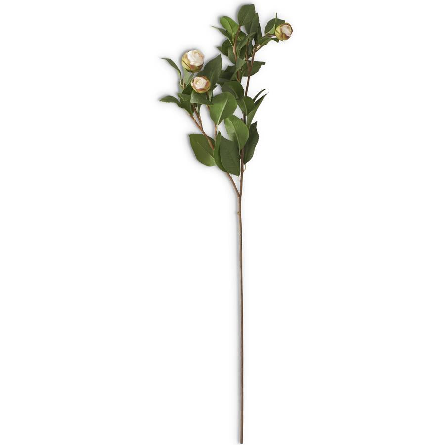 28" White Bud Peony Stem