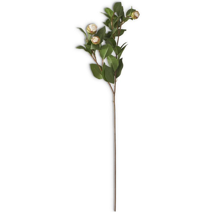 28" White Bud Peony Stem