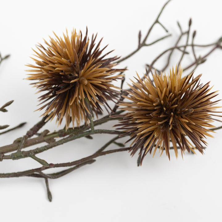 30" Chestnut Ball Stem