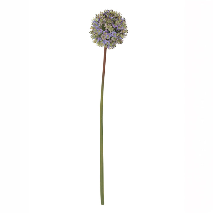 30" Purple Allium Stem