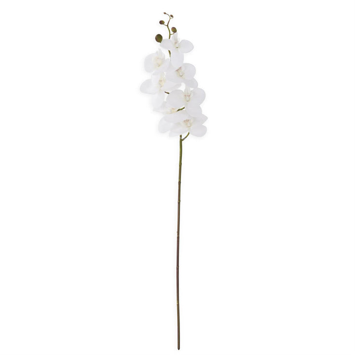 34.5" White Orchid Stem