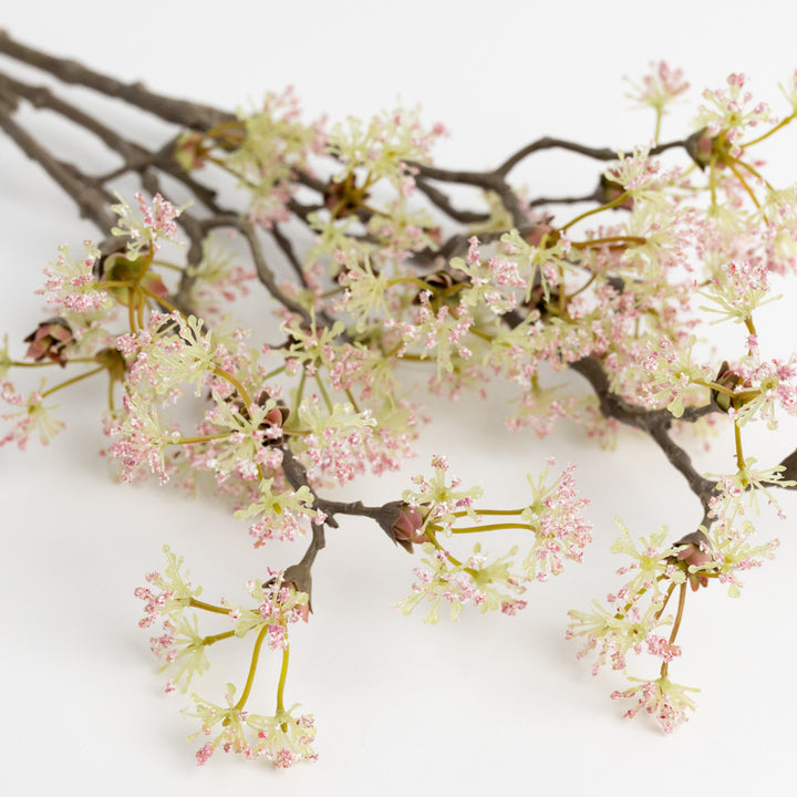 35" Pink Queen Anne Lace