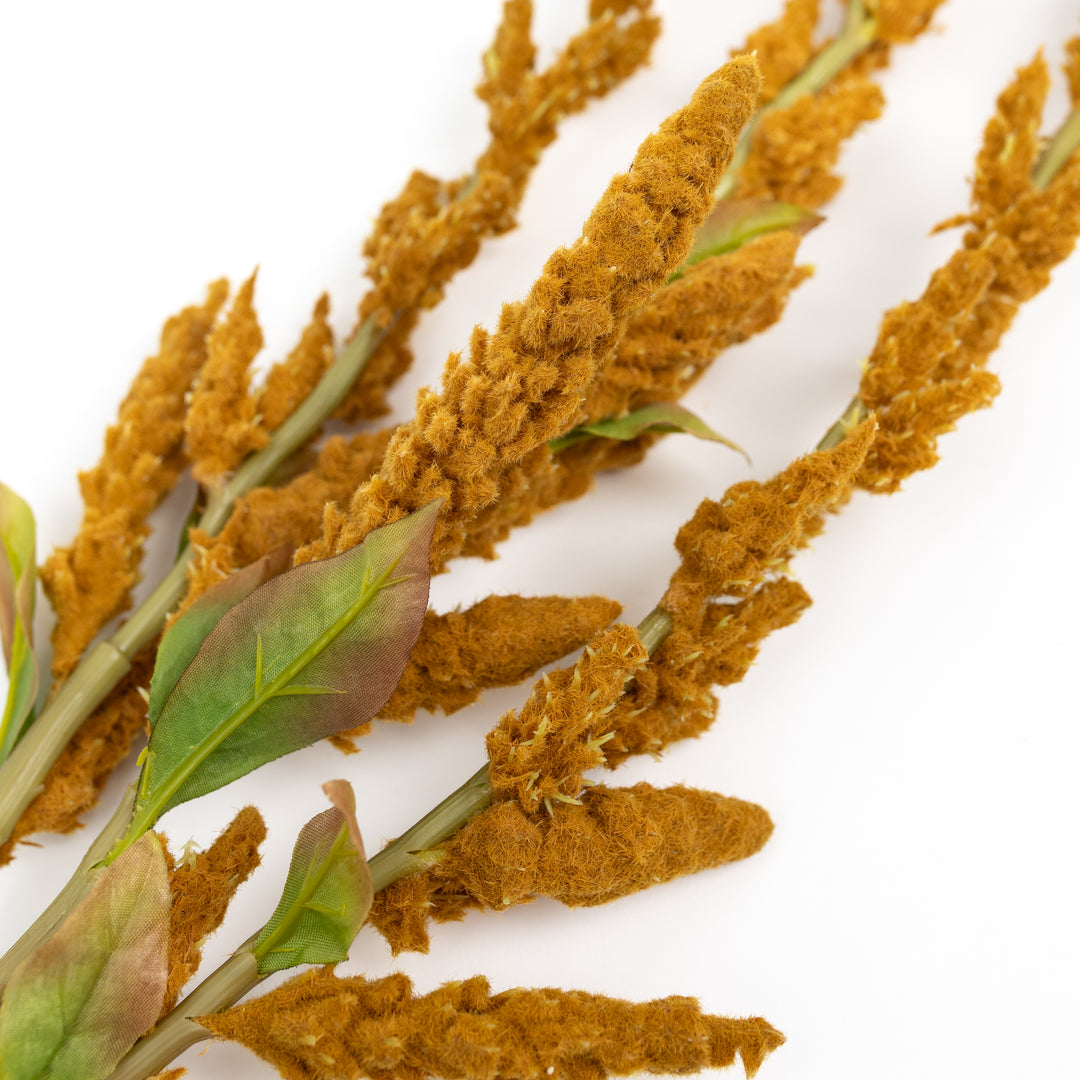 37" Mustard Amaranthus Stem