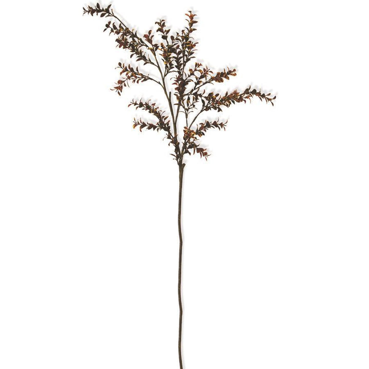 42" Burgundy Boxwood Spray