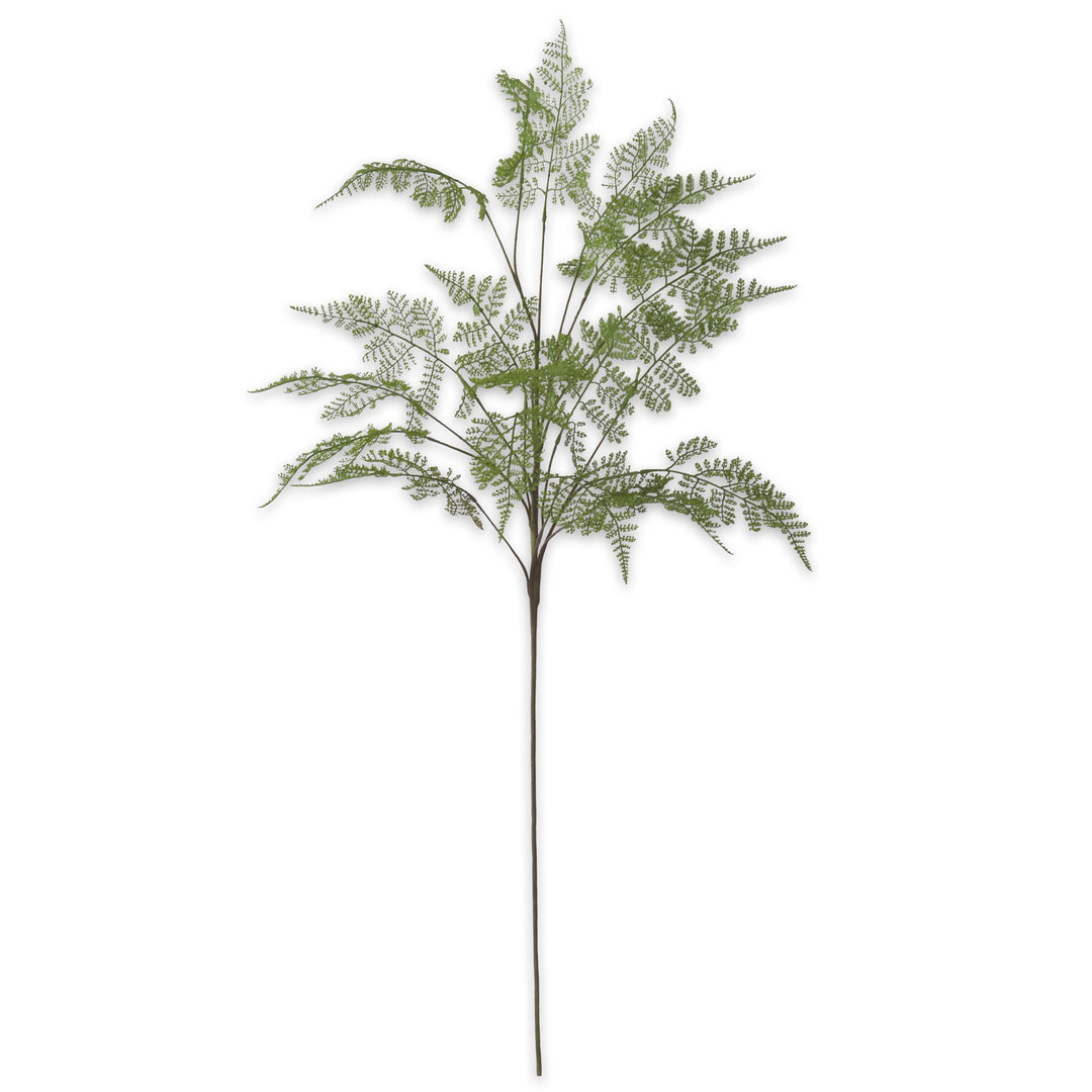 46" Lace Fern Spray