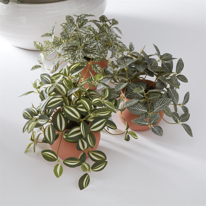 6.5" Ceramic Potted Plant