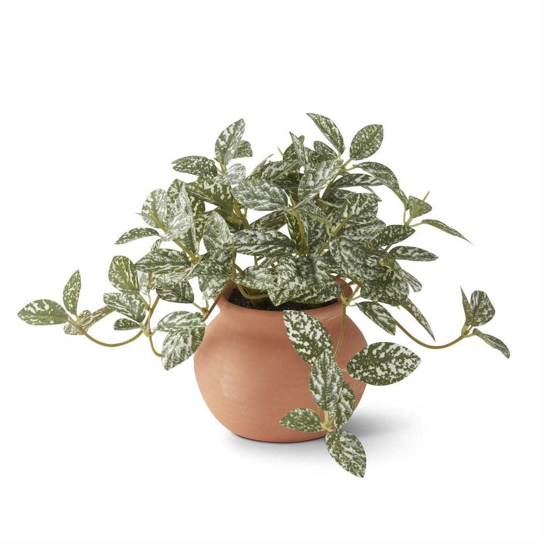 6.5" Ceramic Potted Plant