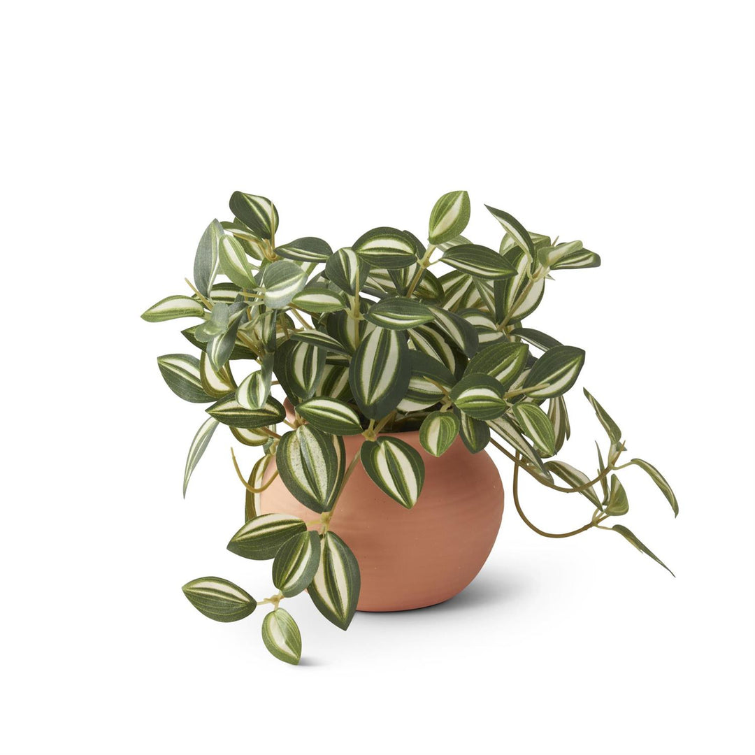 6.5" Ceramic Potted Plant