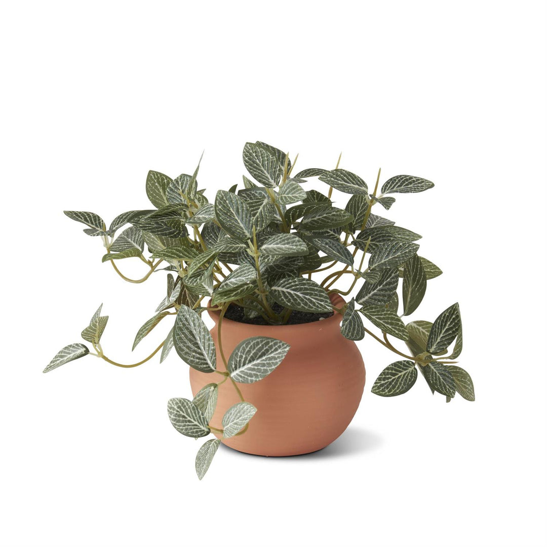 6.5" Ceramic Potted Plant