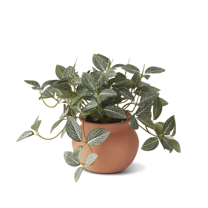 6.5" Ceramic Potted Plant