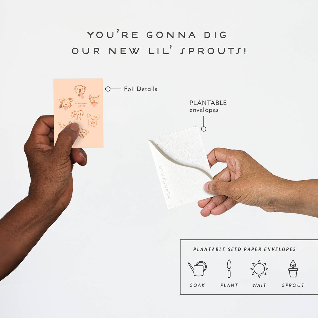 Dog Kisses Birthday Mini Card