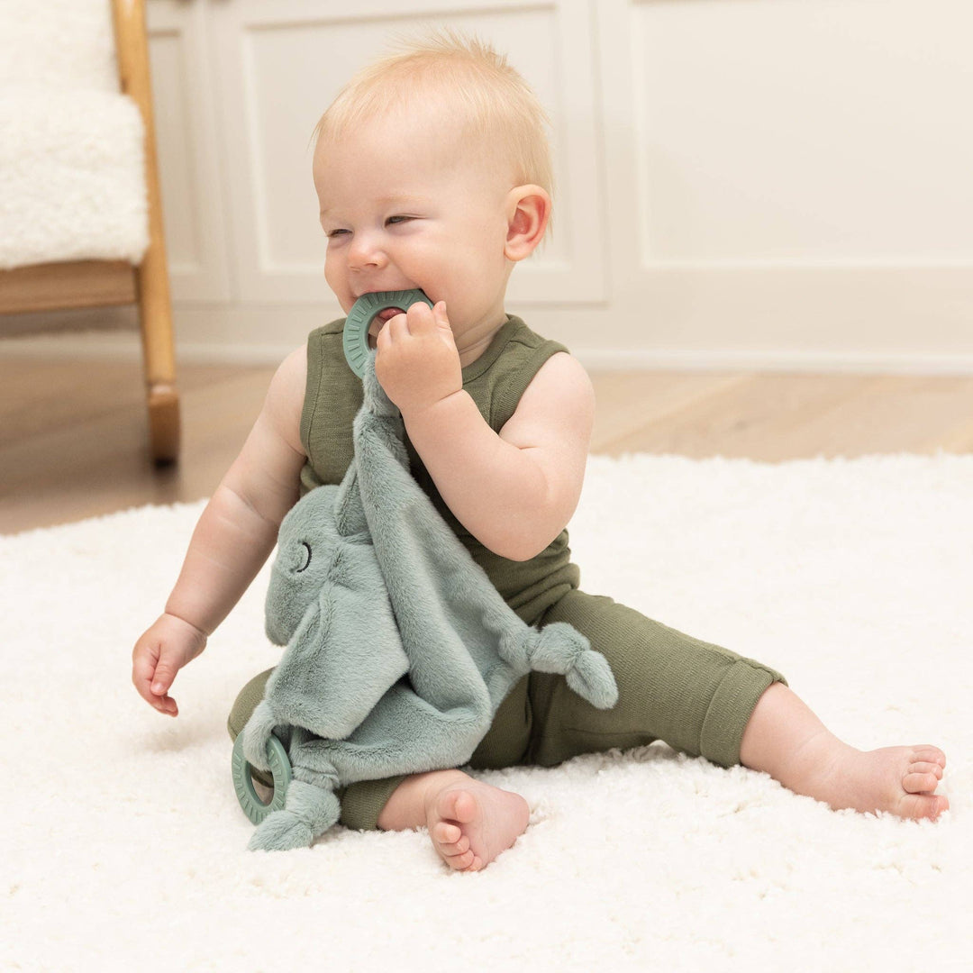 Freddie the Frog Teether Buddy