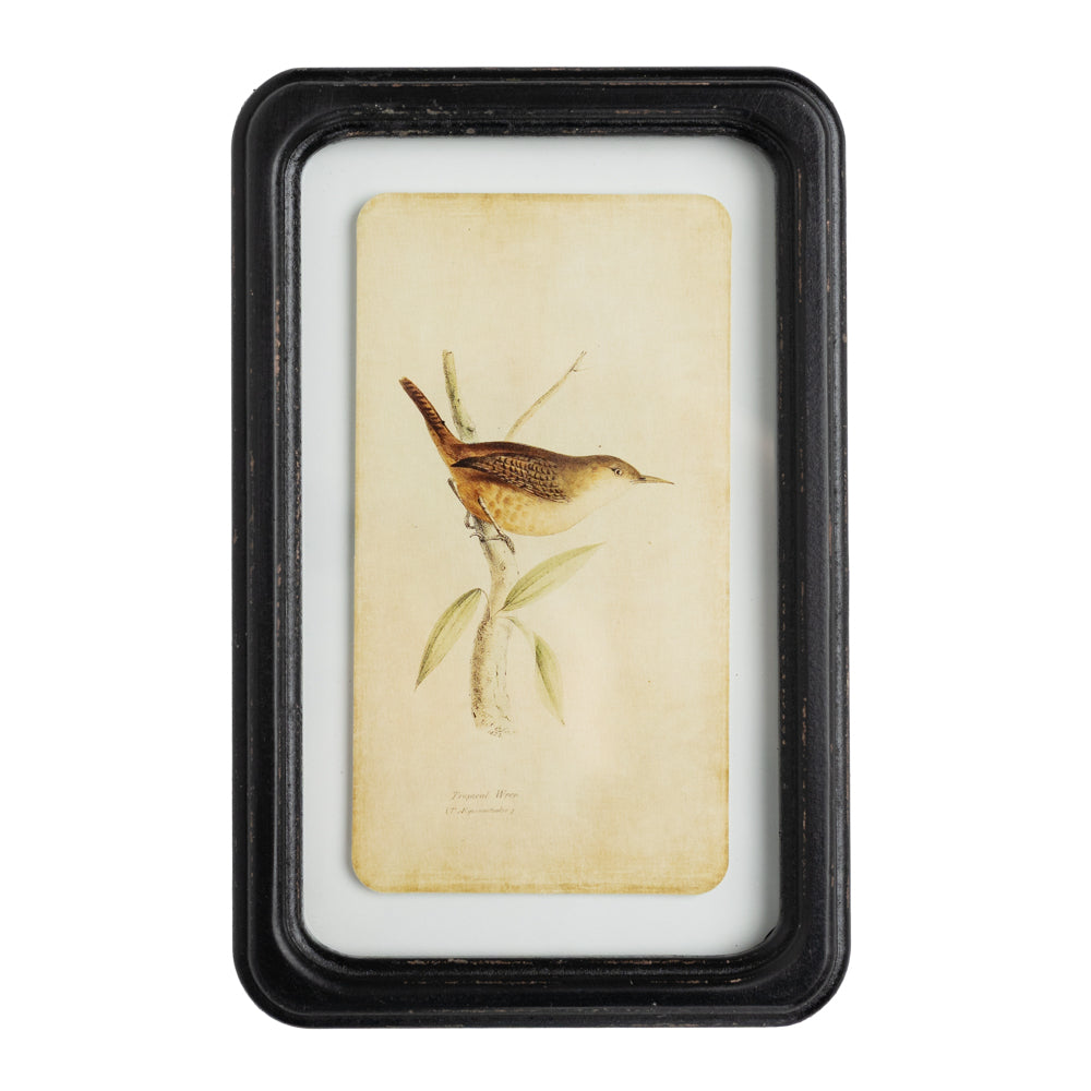 Aviary 7" x 11" Framed Print