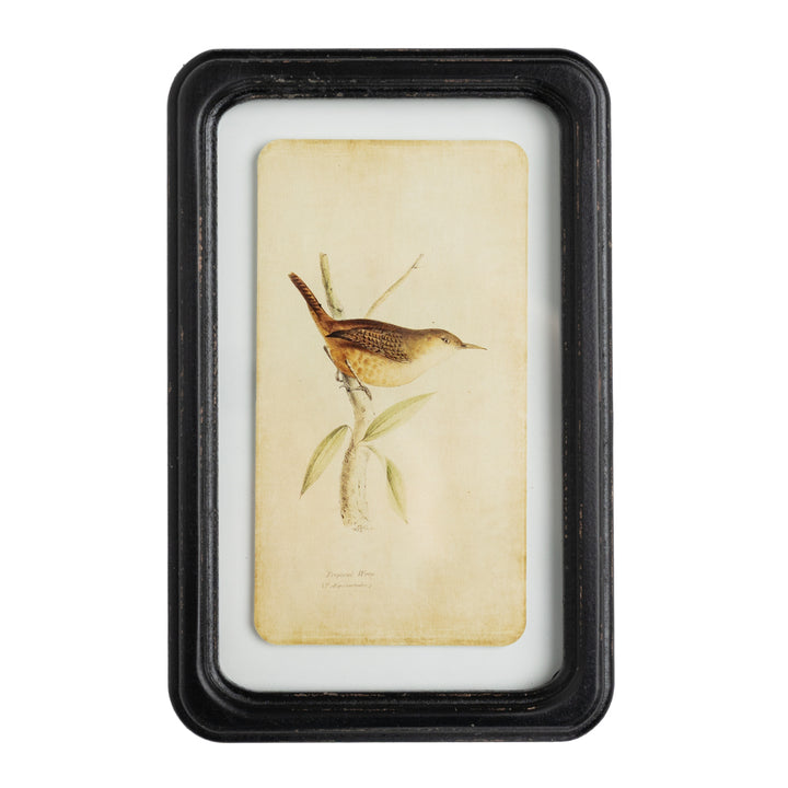 Aviary 7" x 11" Framed Print