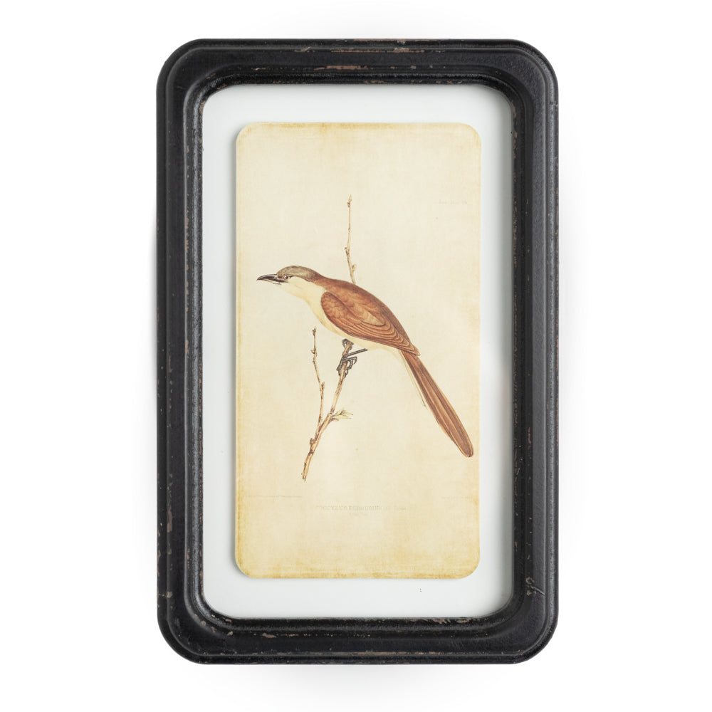 Aviary 7" x 11" Framed Print