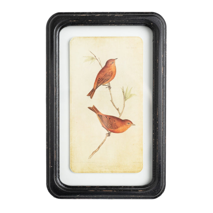 Aviary 7" x 11" Framed Print