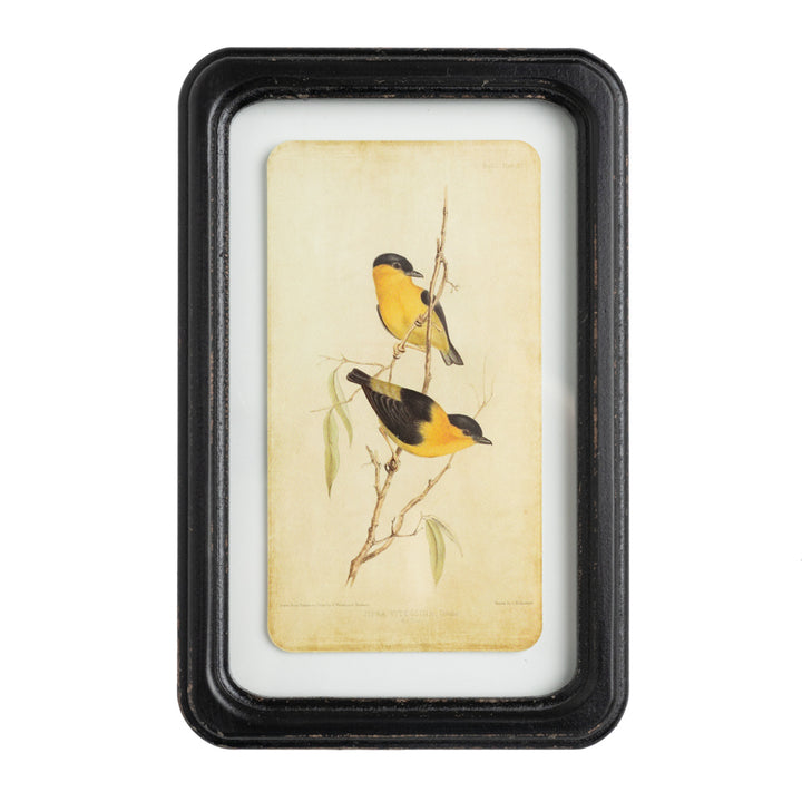 Aviary 7" x 11" Framed Print