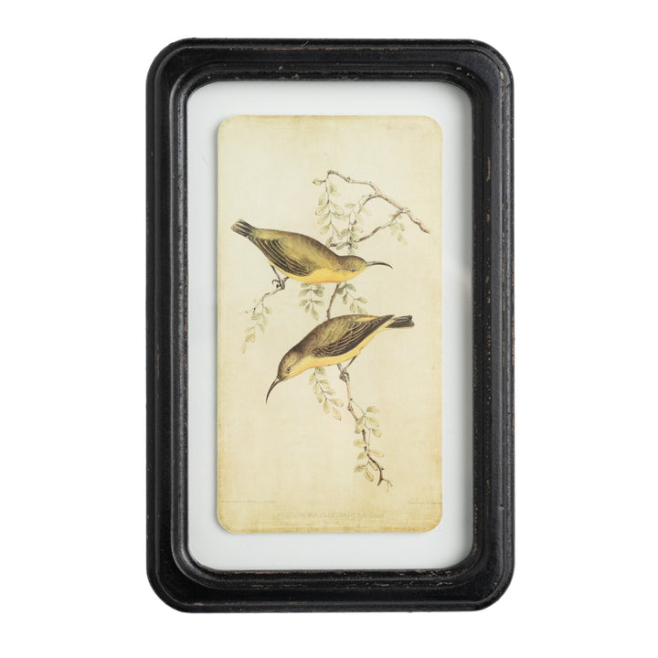 Aviary 7" x 11" Framed Print