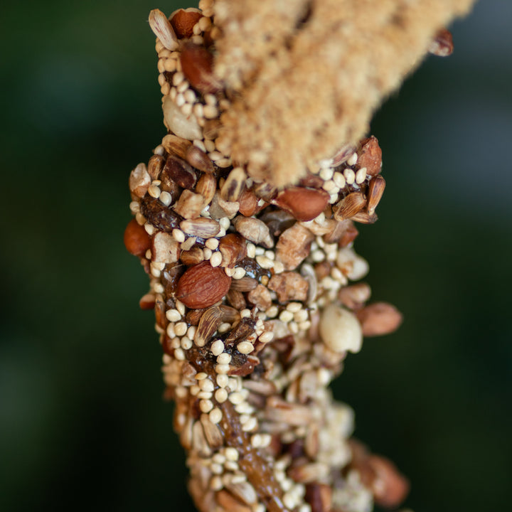 Bird Seed Wreath