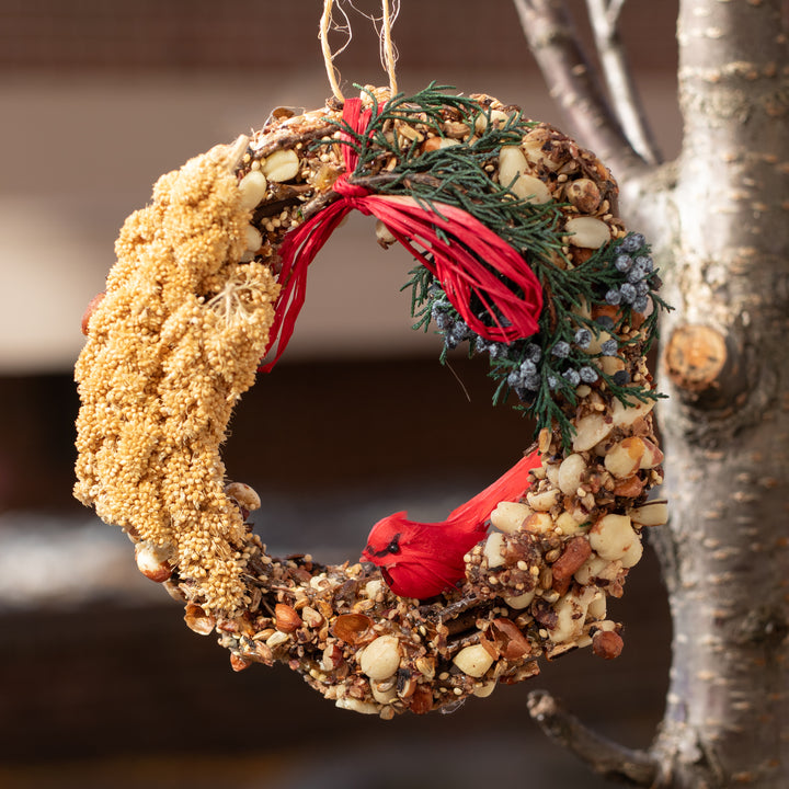 Bird Seed Wreath