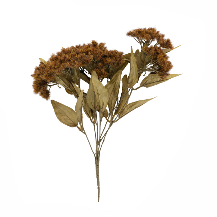 Brown Fall Thistle Bush Stem