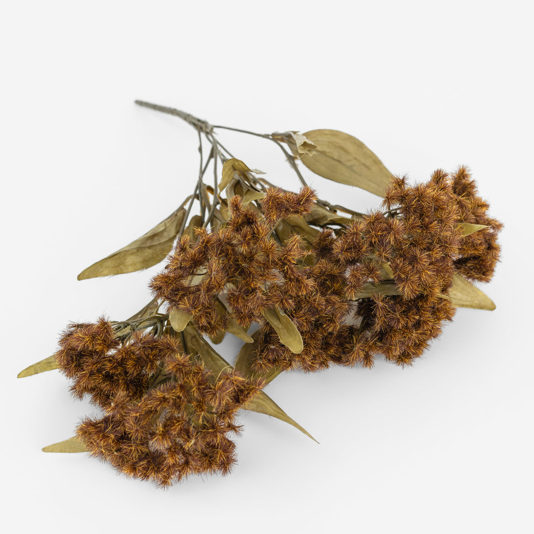 Brown Fall Thistle Bush Stem