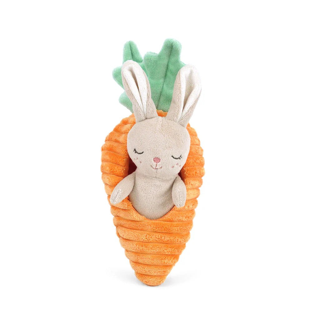 Bunny & Carrot Plush