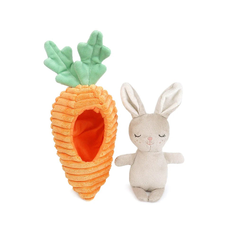Bunny & Carrot Plush