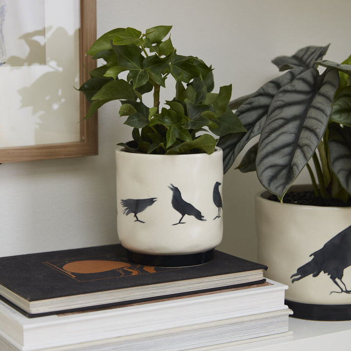 Corvus Pot