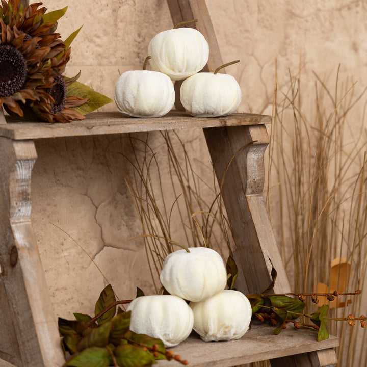 Cream Velvet Pumpkins, Set of 6