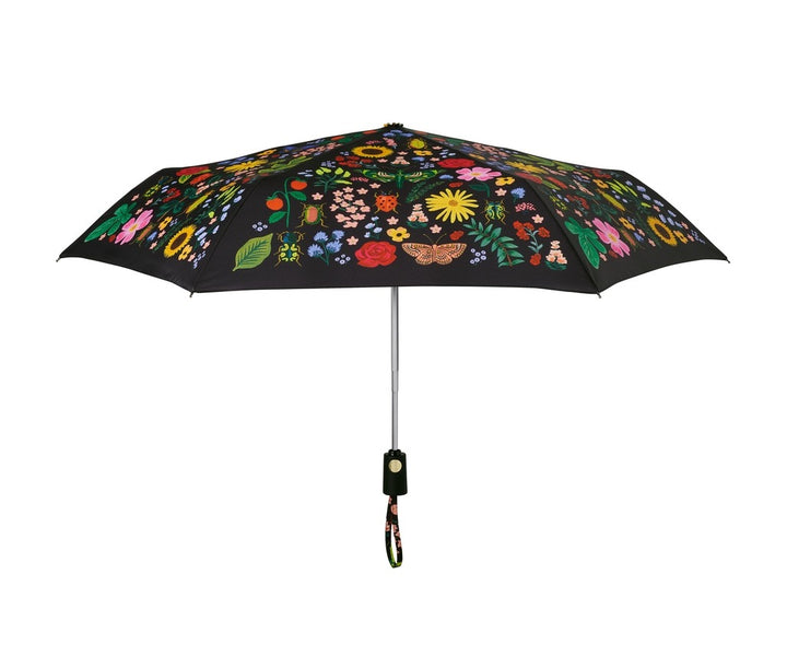 Curio Umbrella
